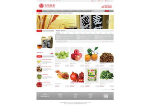 中信農(nóng)業(yè)網(wǎng)站的設計與實現(xiàn) 構(gòu)建現(xiàn)代化數(shù)字農(nóng)業(yè)平臺