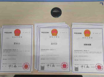 注冊公司 代理記賬公司注冊提供個體戶注冊、內資公司注冊服務