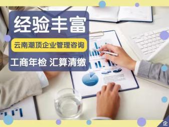 代理記賬 財稅服務 注冊公司提供地址 公司變更 內資公司注冊 注銷公司
